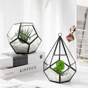 Home Succulent Bonsai Decoration For Stylish Indoor Display