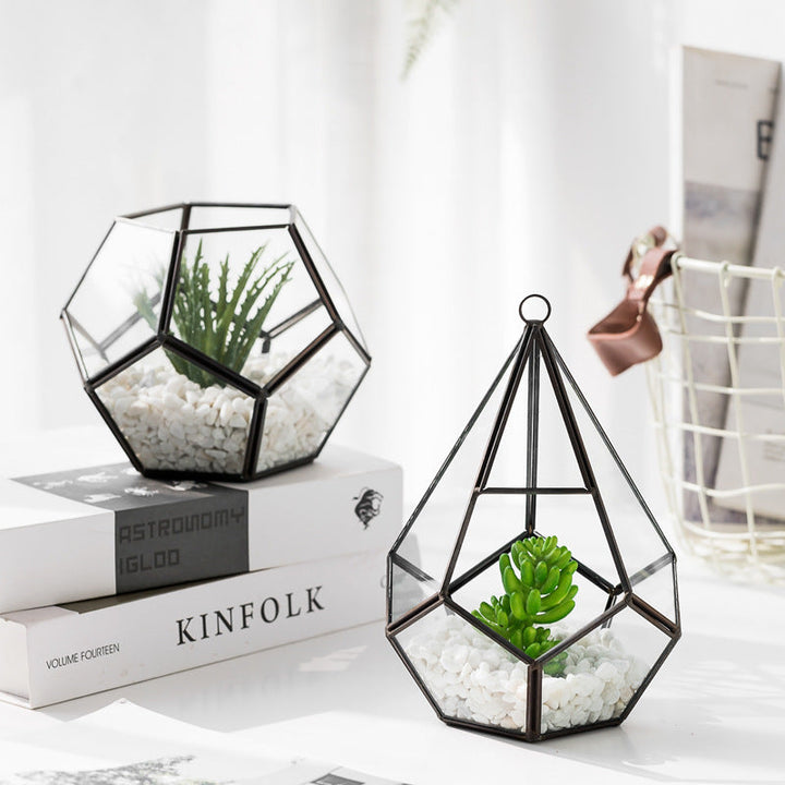 Home Succulent Bonsai Decoration For Stylish Indoor Display